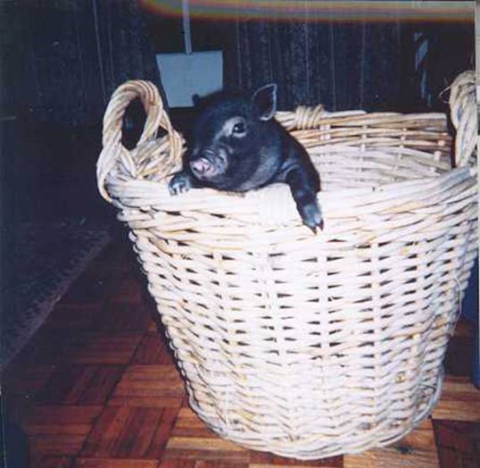image001.jpg